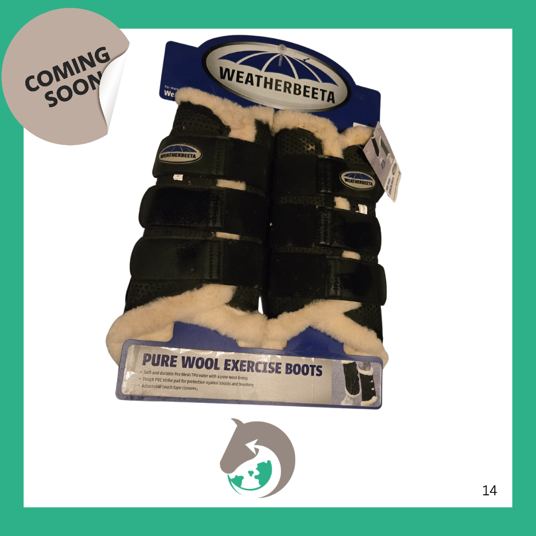 Weatherbeeta Wool exercise boots